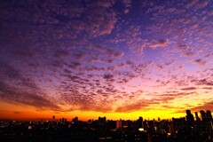 秋雲夕景