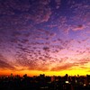 秋雲夕景