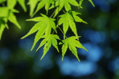 晩秋への期待