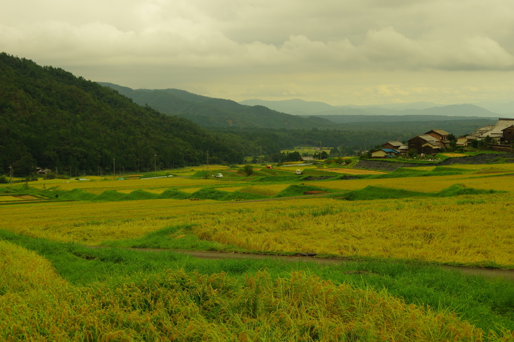 初秋の里山風景 －１