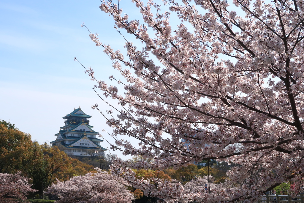 天守に桜