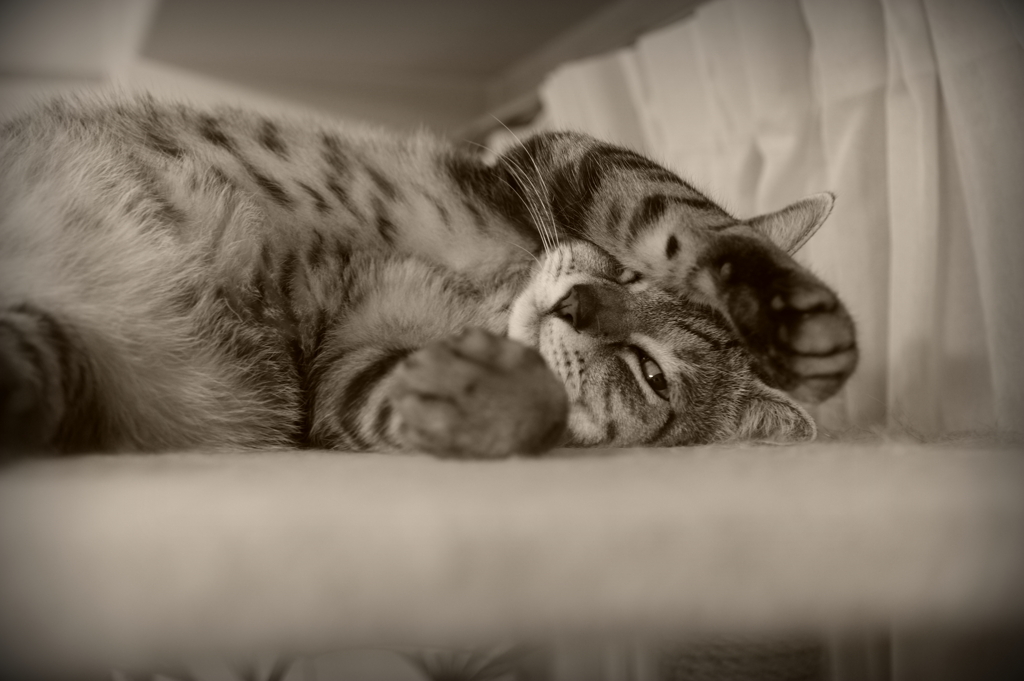 お眠む
