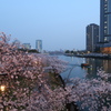 大川夕景