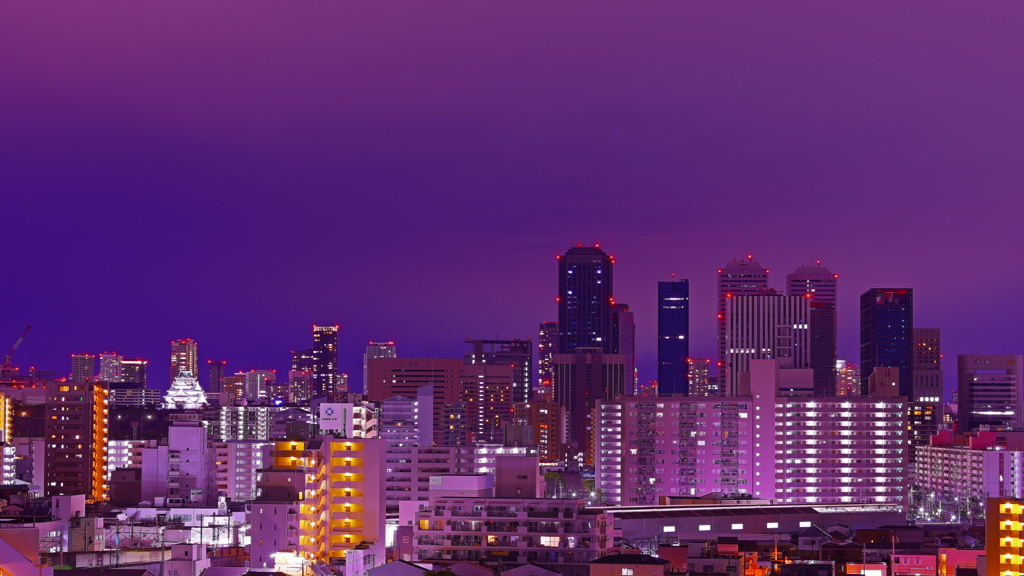 Midnight Purple