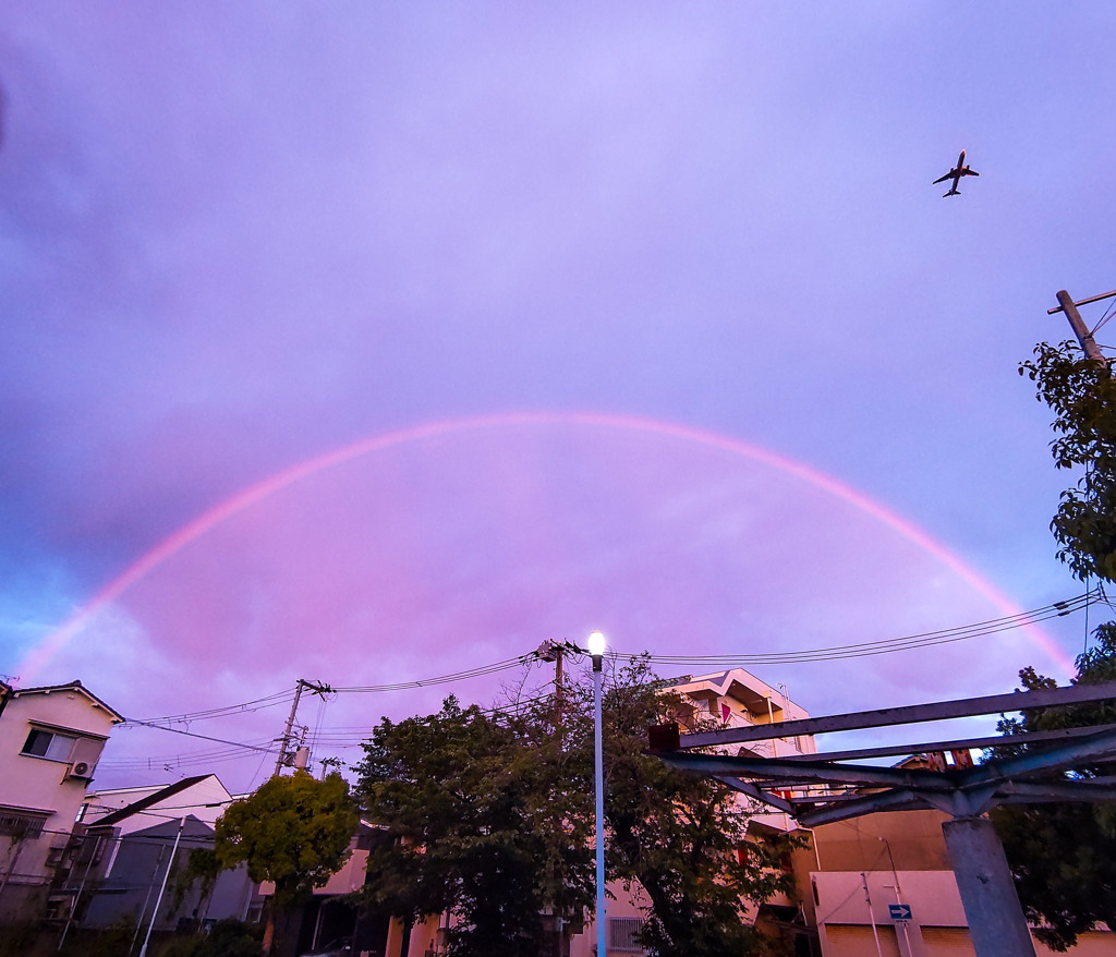 虹の架け橋