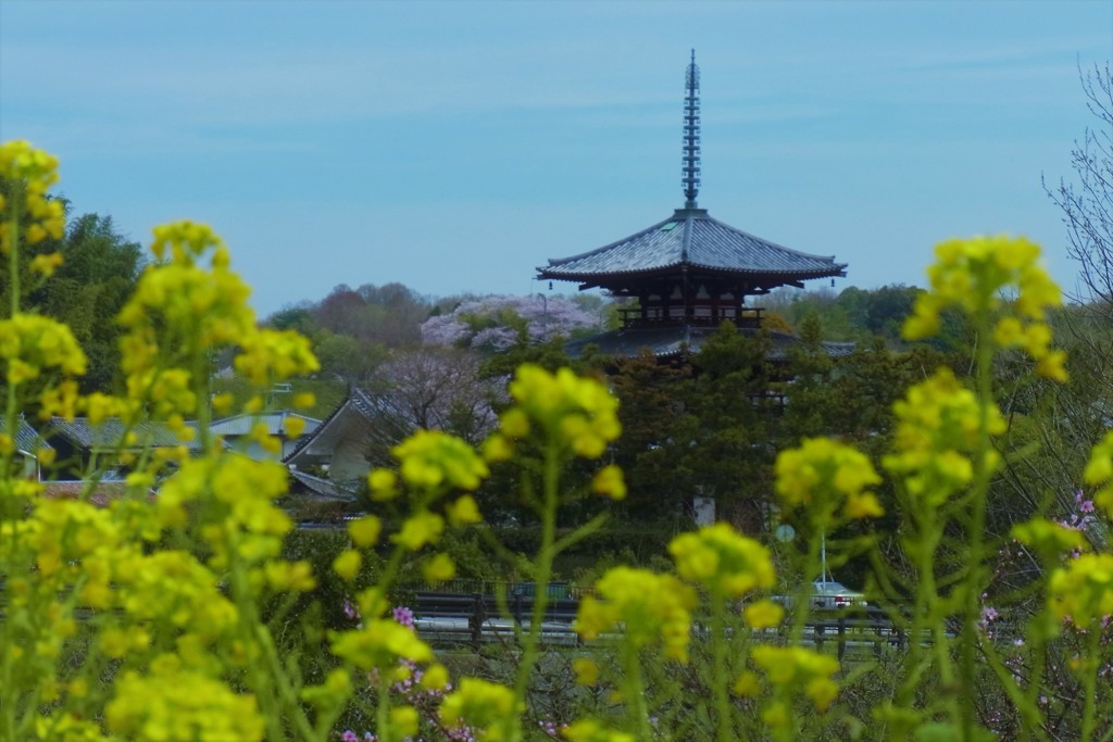 いつか見た春景色