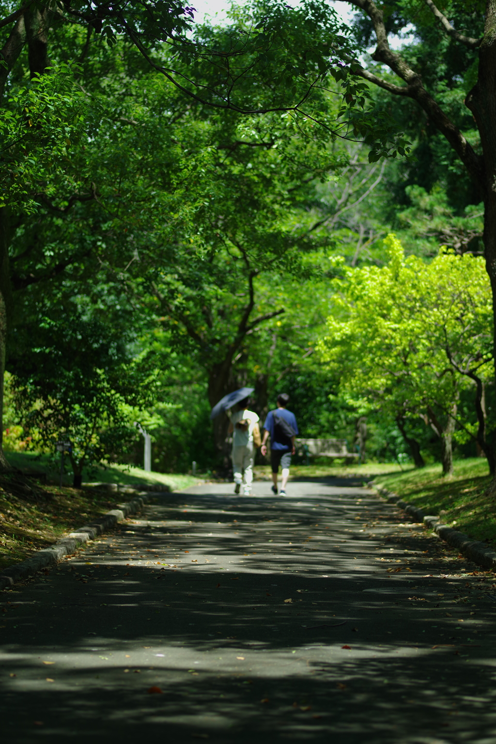 夏散歩