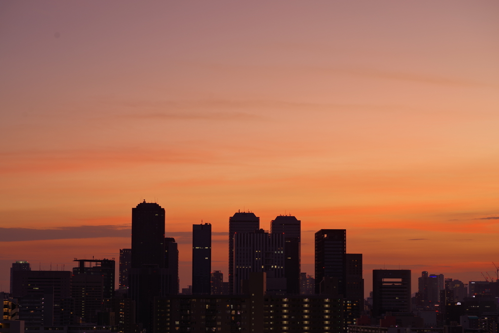 Twilight