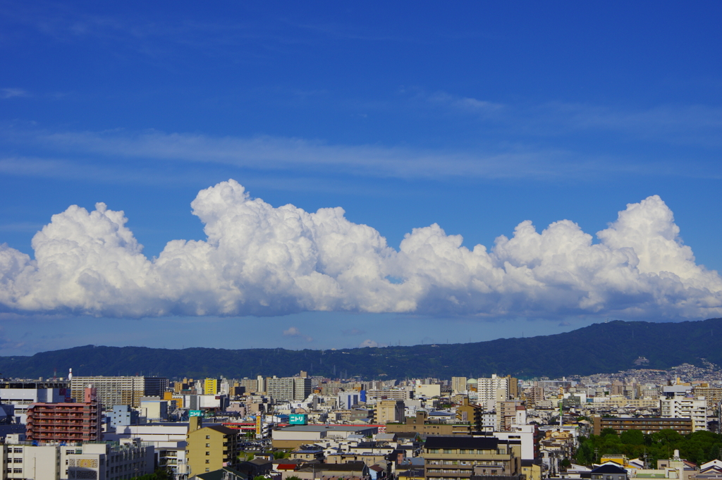 夏空