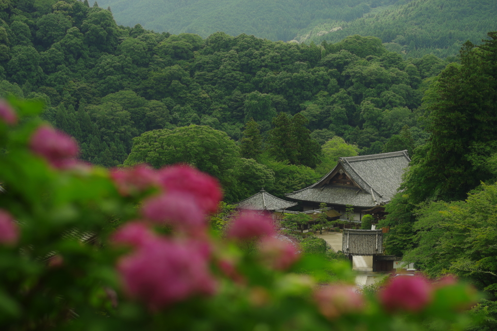 緑深き山寺