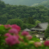 緑深き山寺
