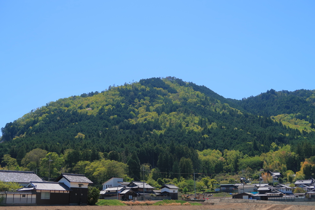 緑萌える里山