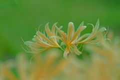 陽気