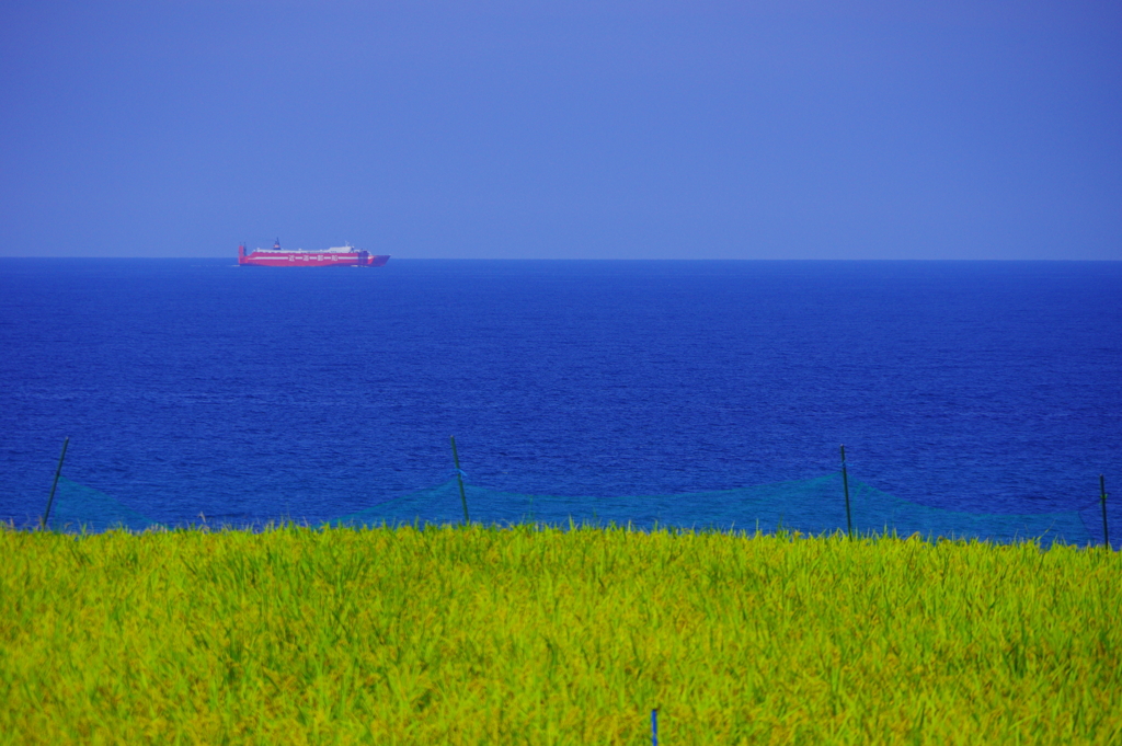 空と海と稲と