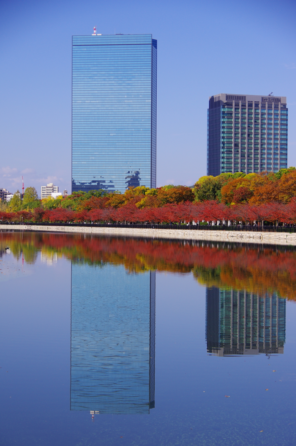 桜紅葉