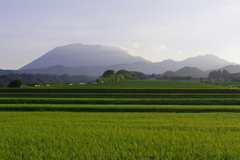 霞む大山
