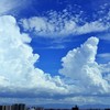猛暑・・・夏の記憶