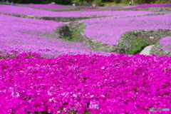 もうすぐ夏