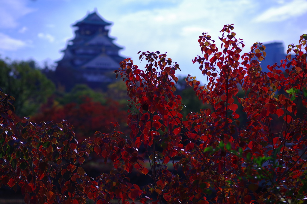 紅葉に天守を添えて