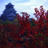 紅葉に天守を添えて
