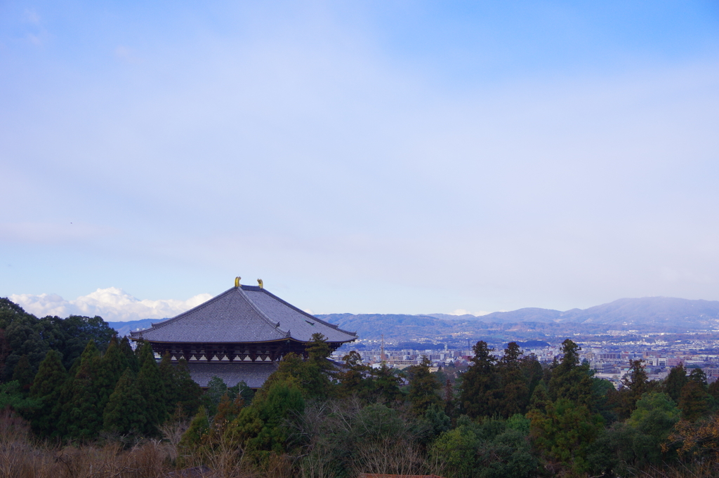 大仏殿遠望