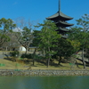 国宝興福寺五重塔