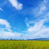 秋近し