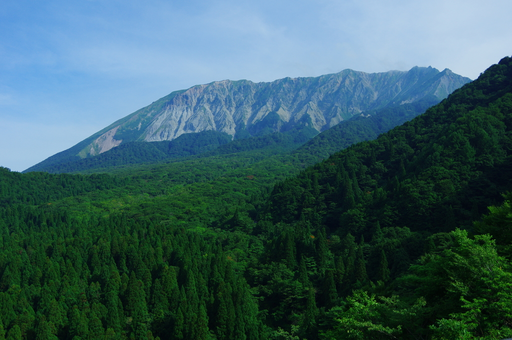 夏の大山さん