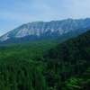 夏の大山さん