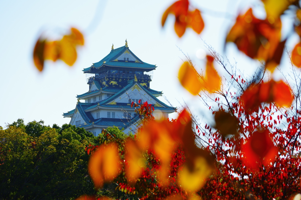 紅葉とお城-3