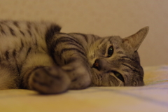 眠いよね・・・