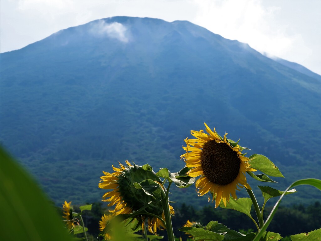 朝から暑っつ！