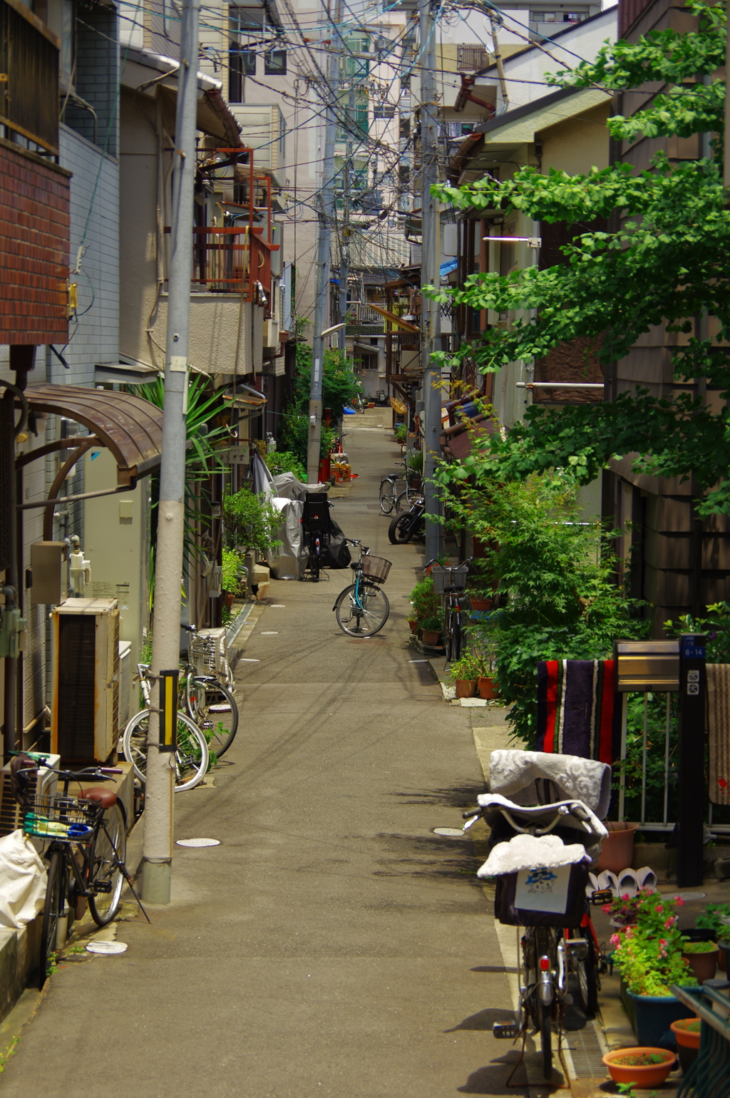 路地裏−空堀界隈−