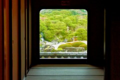 生の衝立