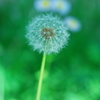 5月の風を待つ