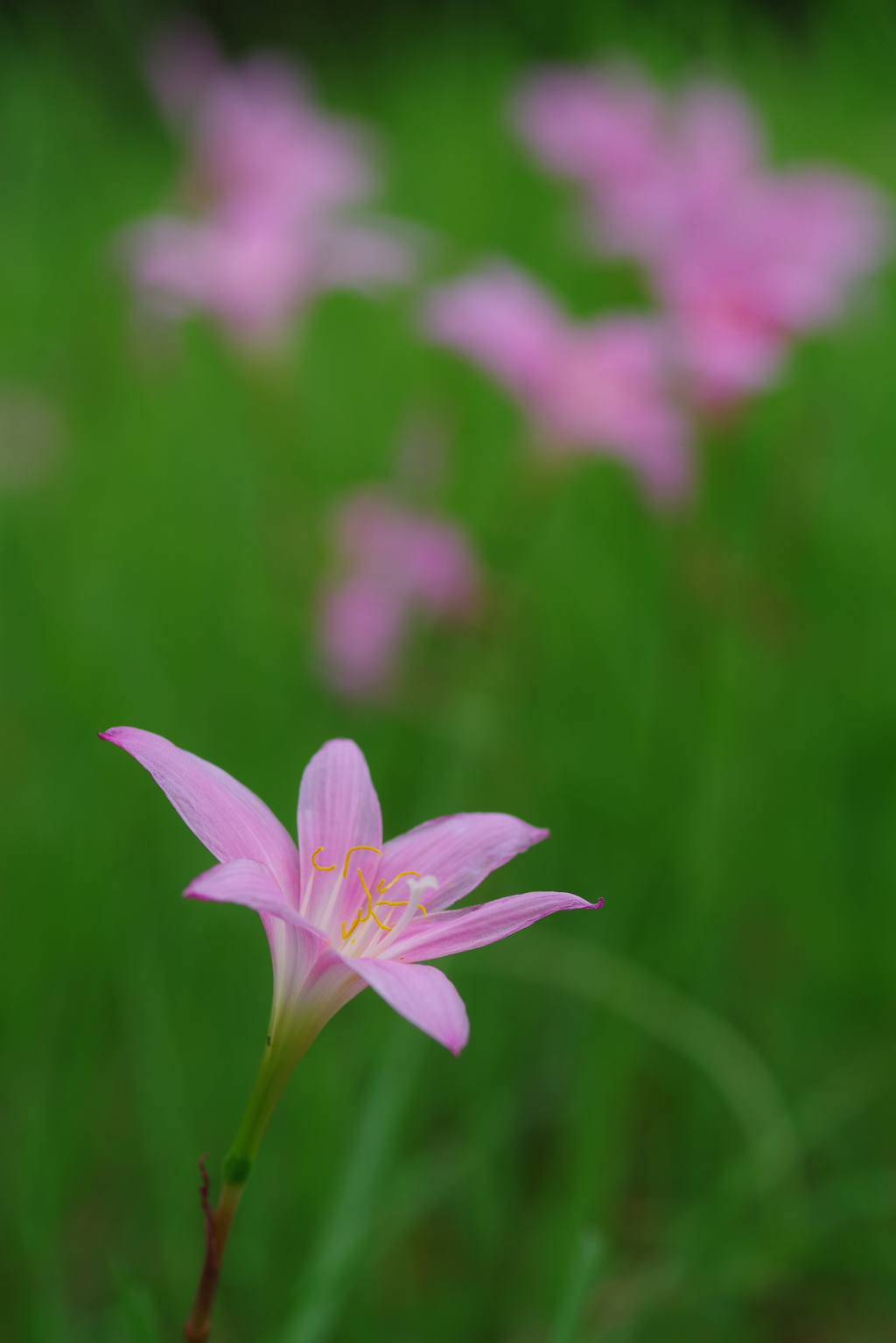 新しい始まり