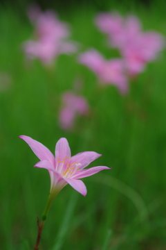 新しい始まり