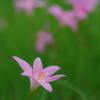 新しい始まり