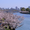 大川−桜景色２−