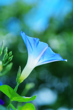 bright blue