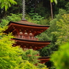 国宝 三重塔
