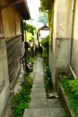 路地裏