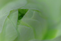 純潔