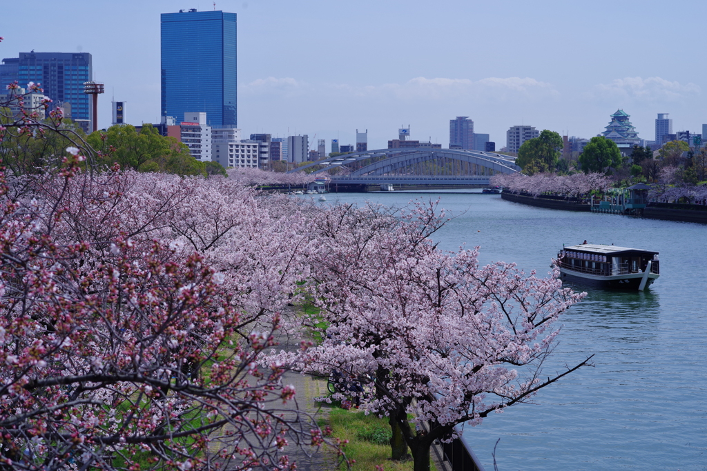 大川春景色