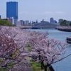 大川春景色