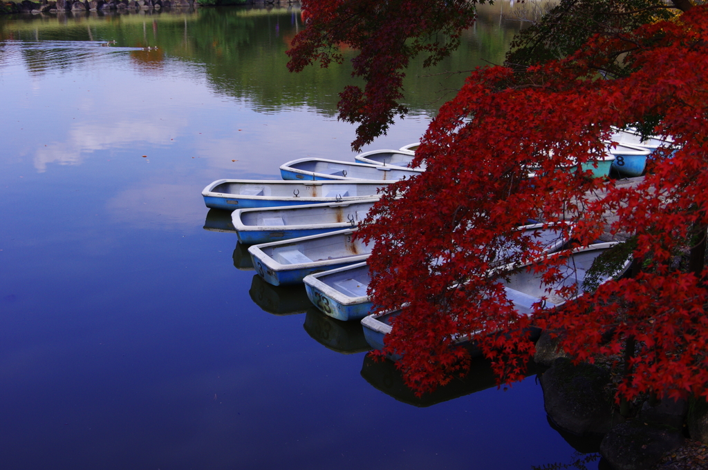 水辺の紅葉