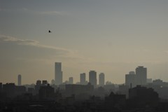 家路