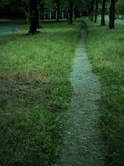 路