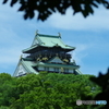 新緑と共にⅠ