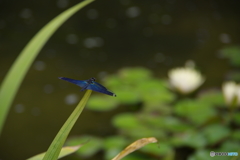 休息